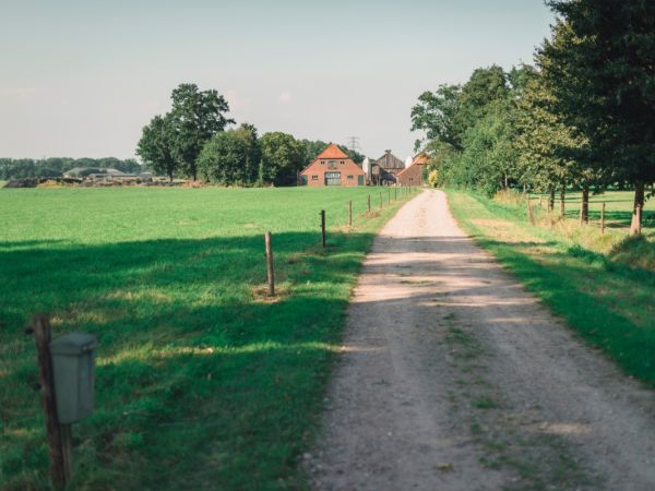 Zufahrtsweg zu einem Bauernhof mit mehreren Gebäuden und Fahrsilos. Er ist gesäumt von eingezäunten Weiden im Sommer in Holland.